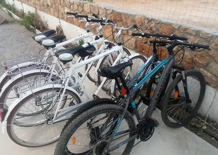 Aqua Euphoria Ex Natura فيلة