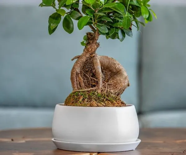 Villa Aqua Euphoria Ex Natura